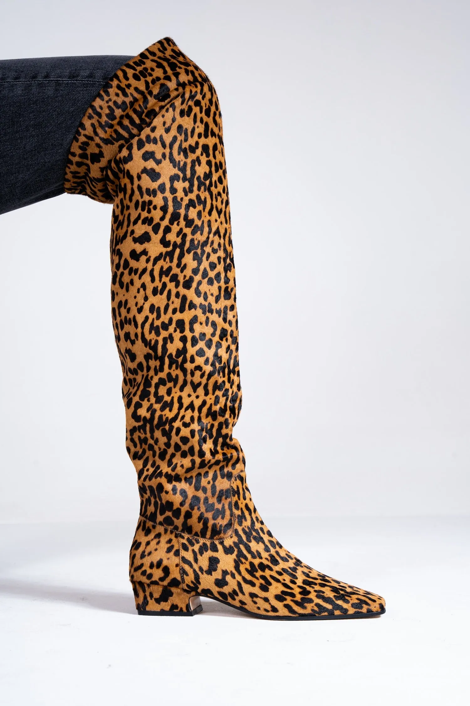 Fly Leopard
